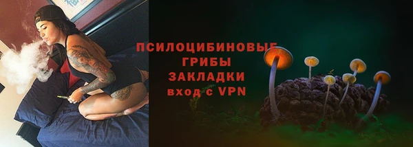 дживик Абаза