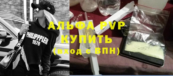 стаф Алексин
